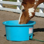 Feeding & Watering Equipment