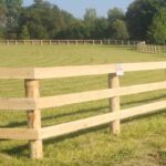 Cedar Posts & Fence Boards