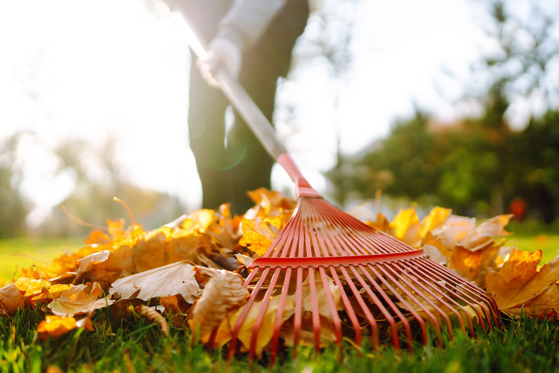 Garden Tools