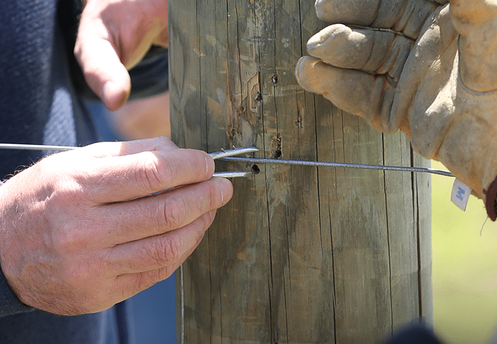 Nails, Staples & Rail Adapters