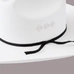White Cowboy Hat