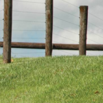 Fence & Barbed Wire