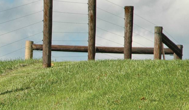 Fence & Barbed Wire