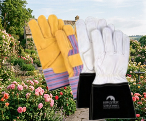 Gloves