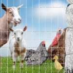 Horse, Sheep/Goat & Chicken Fence