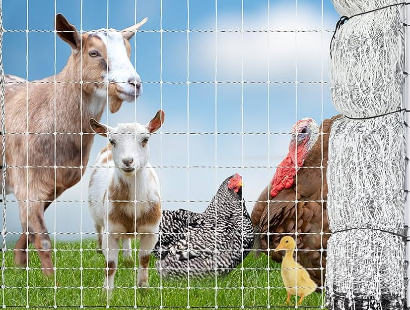 Horse, Sheep/Goat & Chicken Fence