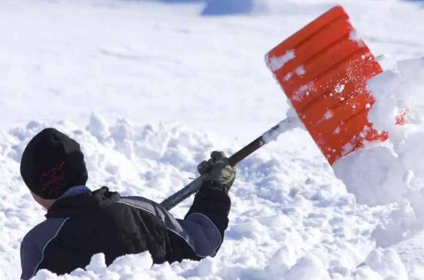 Barn & Snow Shovels