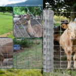 Wire Fencing